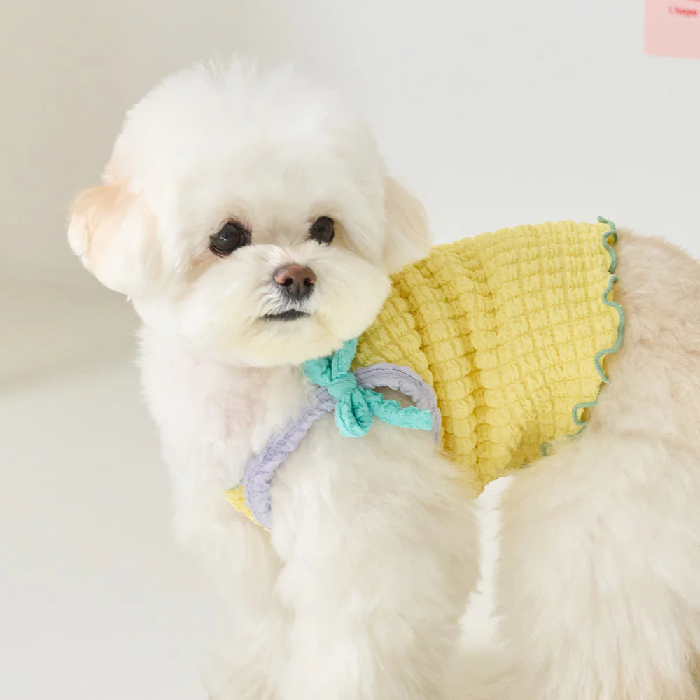 【予約】POPPING CROP TOP