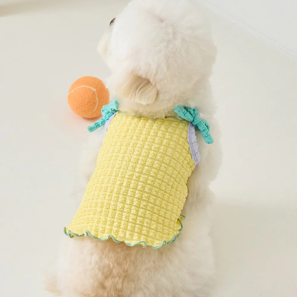 【予約】POPPING CROP TOP