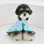 【予約】SPLASH PONCHO RAINCOAT