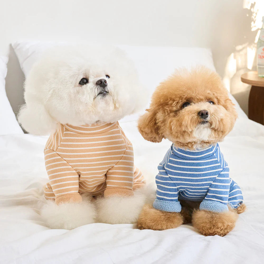 【予約】STRIPE BENNY ALL IN ONE