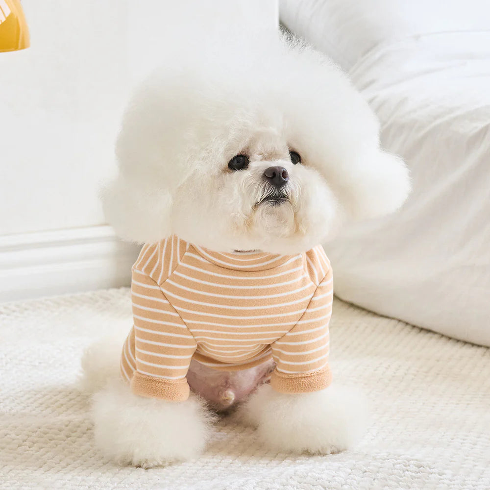 【予約】STRIPE BENNY ALL IN ONE