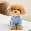 【予約】STRIPE BENNY ALL IN ONE