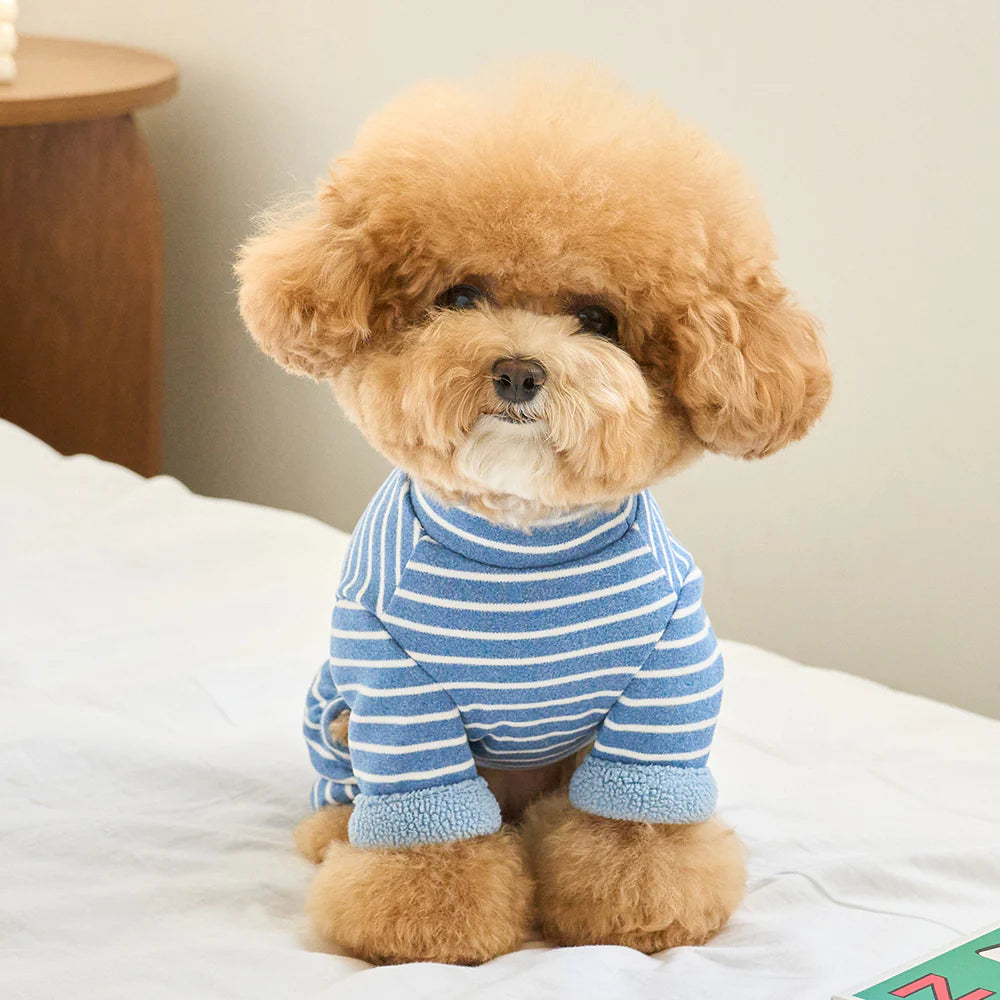 【予約】STRIPE BENNY ALL IN ONE
