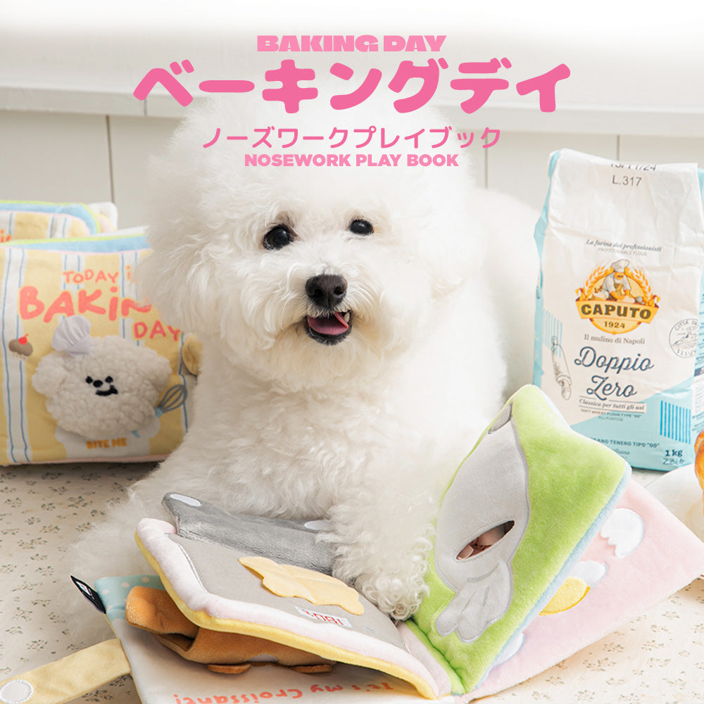 【予約】ベーキングデイ ノーズワークプレイブック