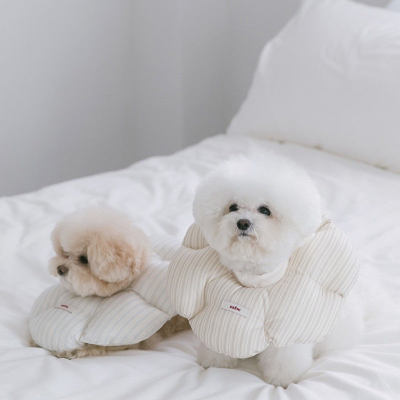 SSFW（エスエスエフダブリュー）｜韓国ブランドの犬用キャリーバッグ