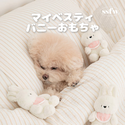 【予約】マイベスティバニーおもちゃ