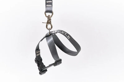 【予約】TASUKI harness charcoal
