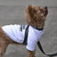 【予約】TASUKI harness charcoal
