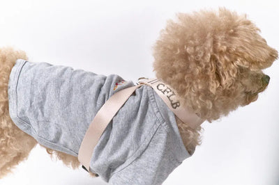 【予約】TASUKI harness pink