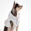 【予約】001 Edition - Tweed Hood Vest