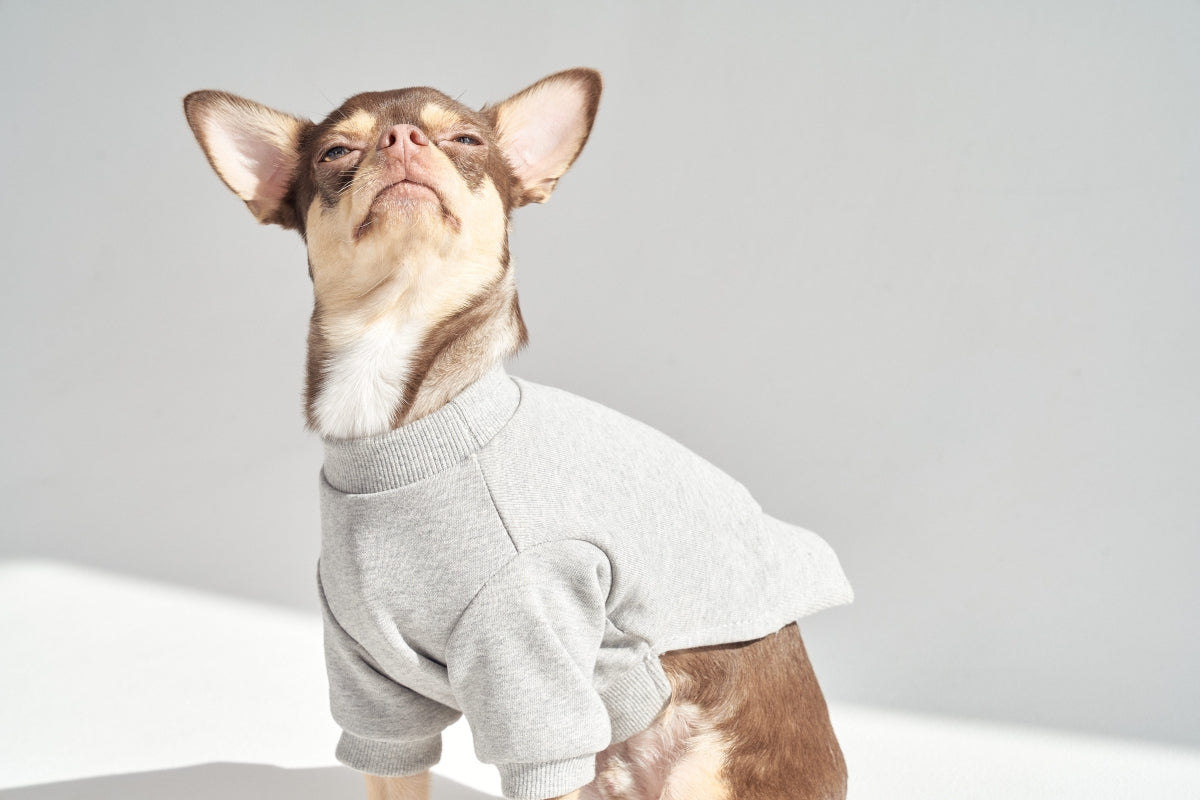 【予約】Semi Crop Sweat Shirt