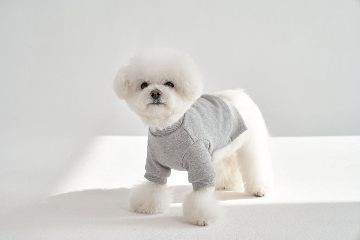 【予約】Semi Crop Sweat Shirt