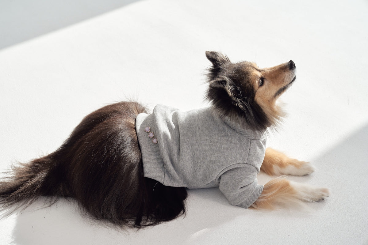 【予約】Semi Crop Sweat Shirt
