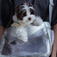 【予約】AirLite Mesh Sling Bag｜犬用キャリーバッグ・スリングバッグ