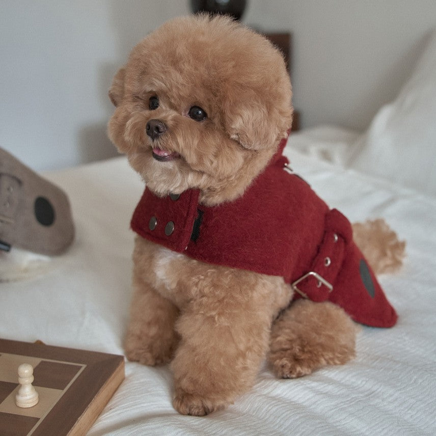 【予約】Baby Alpaca Coat