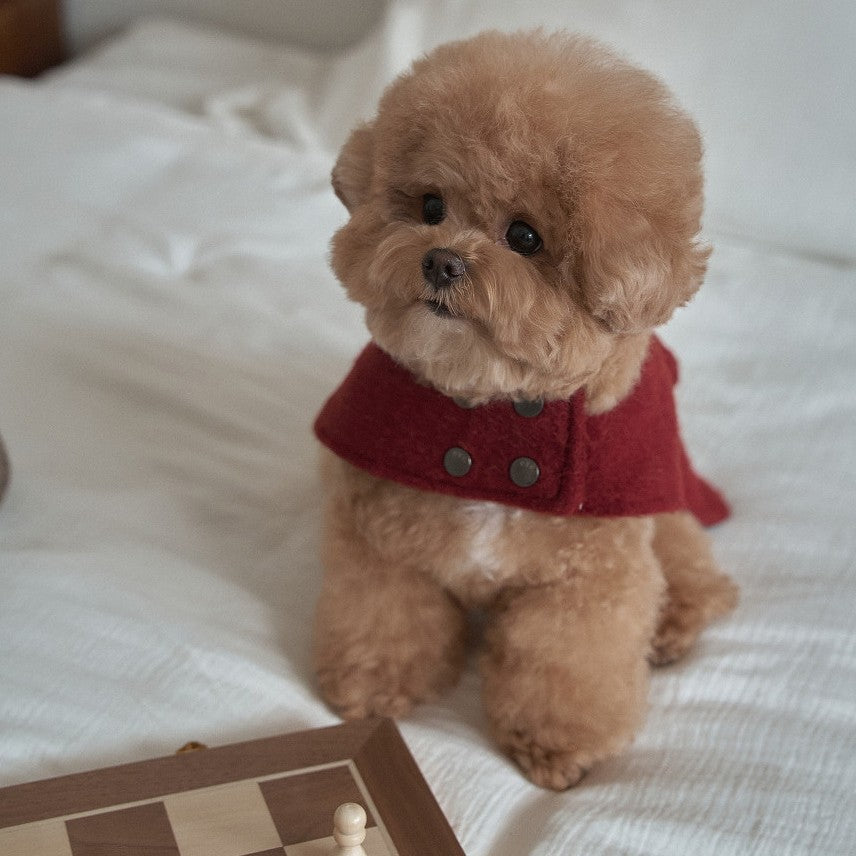 【予約】Baby Alpaca Coat