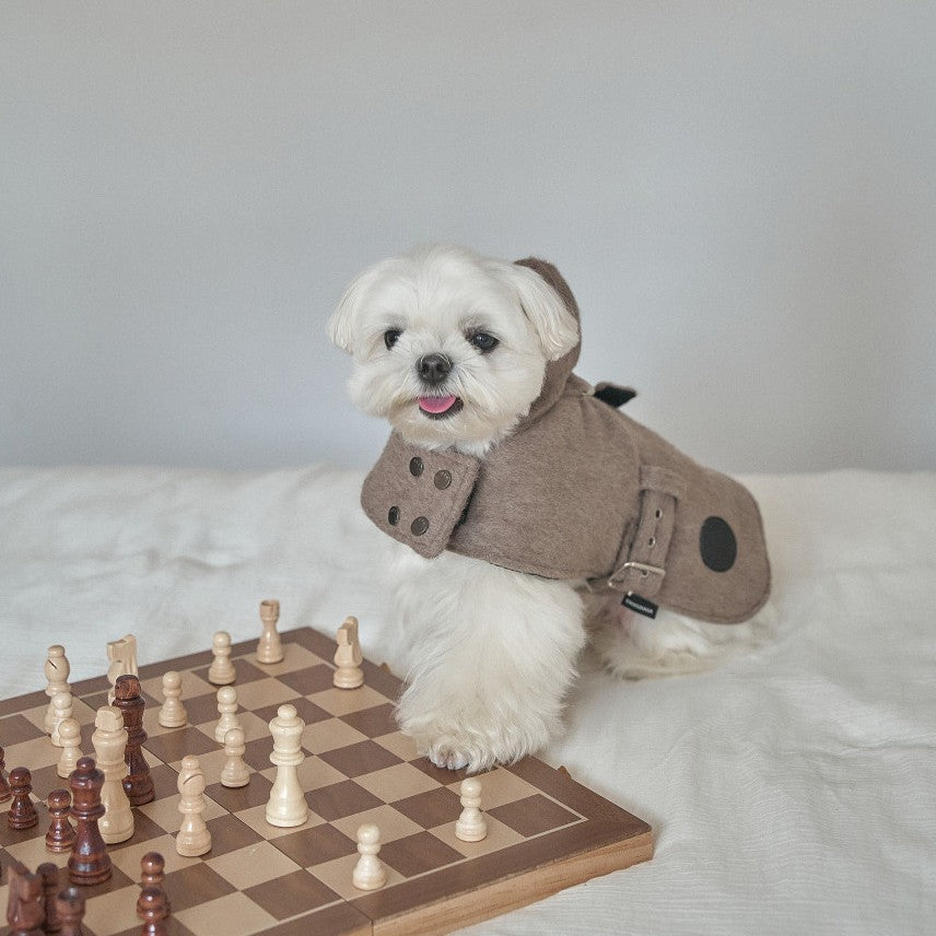 【予約】Baby Alpaca Coat