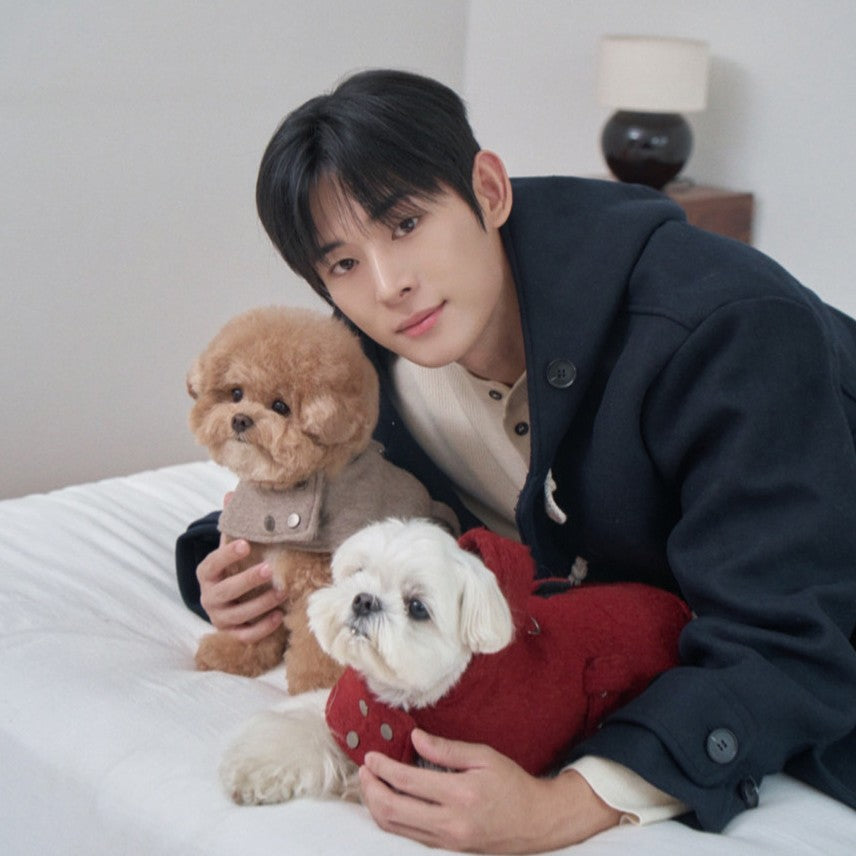 【予約】Baby Alpaca Coat