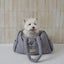 【予約】Cloud Pudding Bag