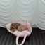 【予約】Cloud Pudding Bag