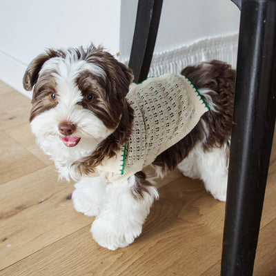 【予約】Cool Air Crochet Knit