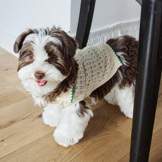 【予約】Cool Air Crochet Knit