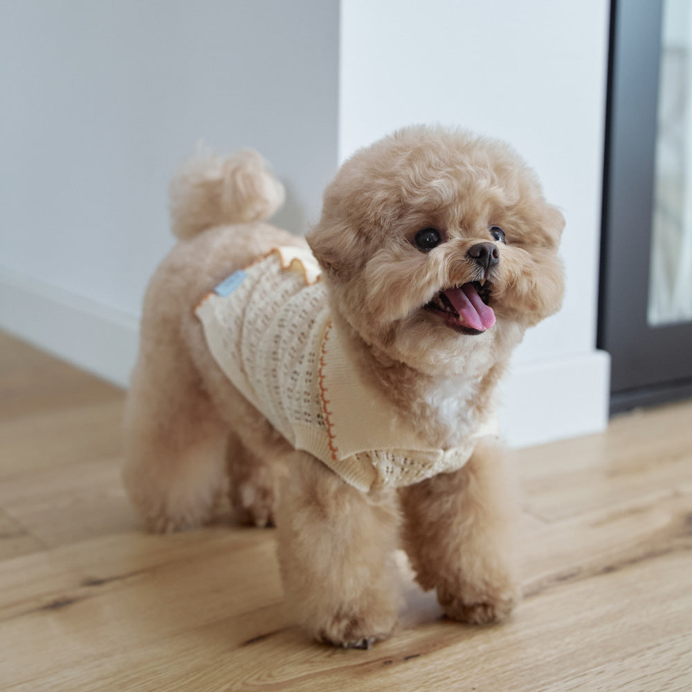 Cool Air Crochet Knit｜PAW SELECT（パウセレクト） – CTC (Crook The