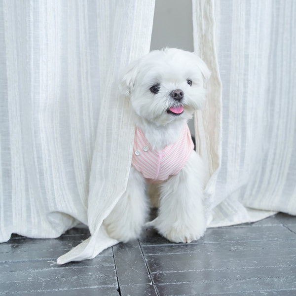 【一部即納】Eloy Stripe T-shirt