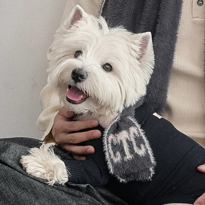 【予約】Fuzzy Snuggle Muffler (For dogs & humans)