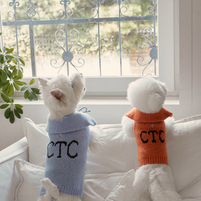 【予約】Sailor Classic Merino Wool 100 Knit (2 color)