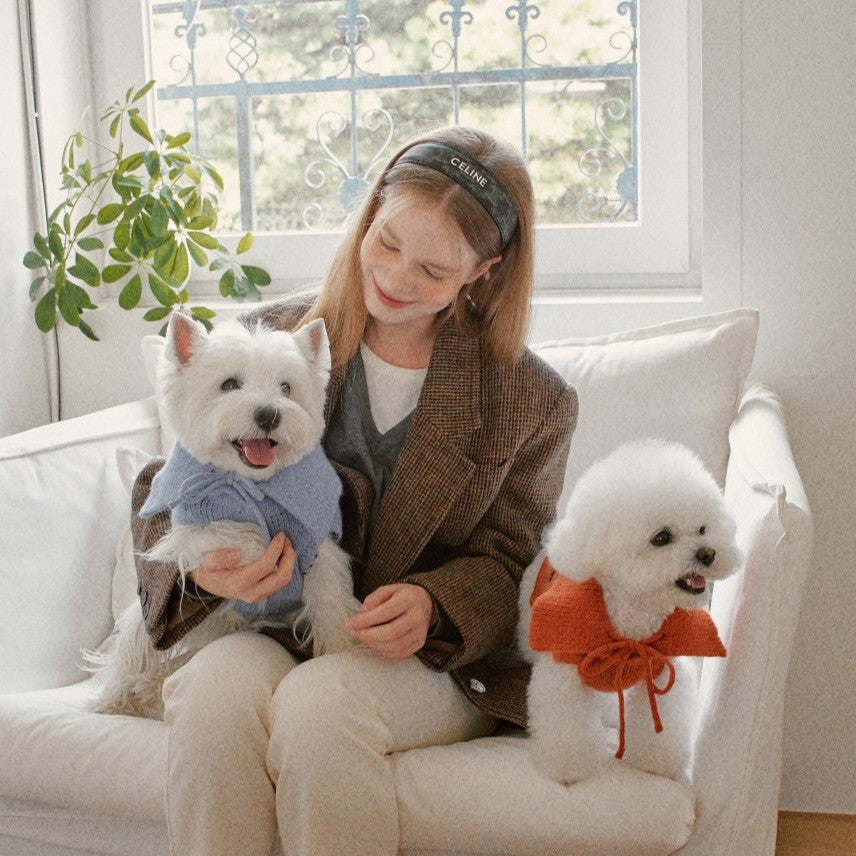 【予約】Sailor Classic Merino Wool 100 Knit (2 color)