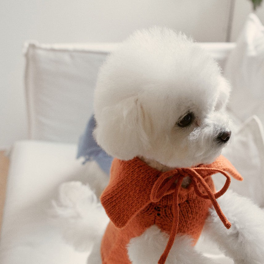 【予約】Sailor Classic Merino Wool 100 Knit (2 color)