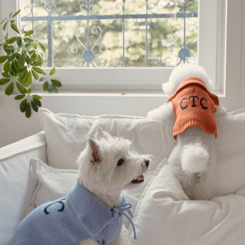 【予約】Sailor Classic Merino Wool 100 Knit (2 color)