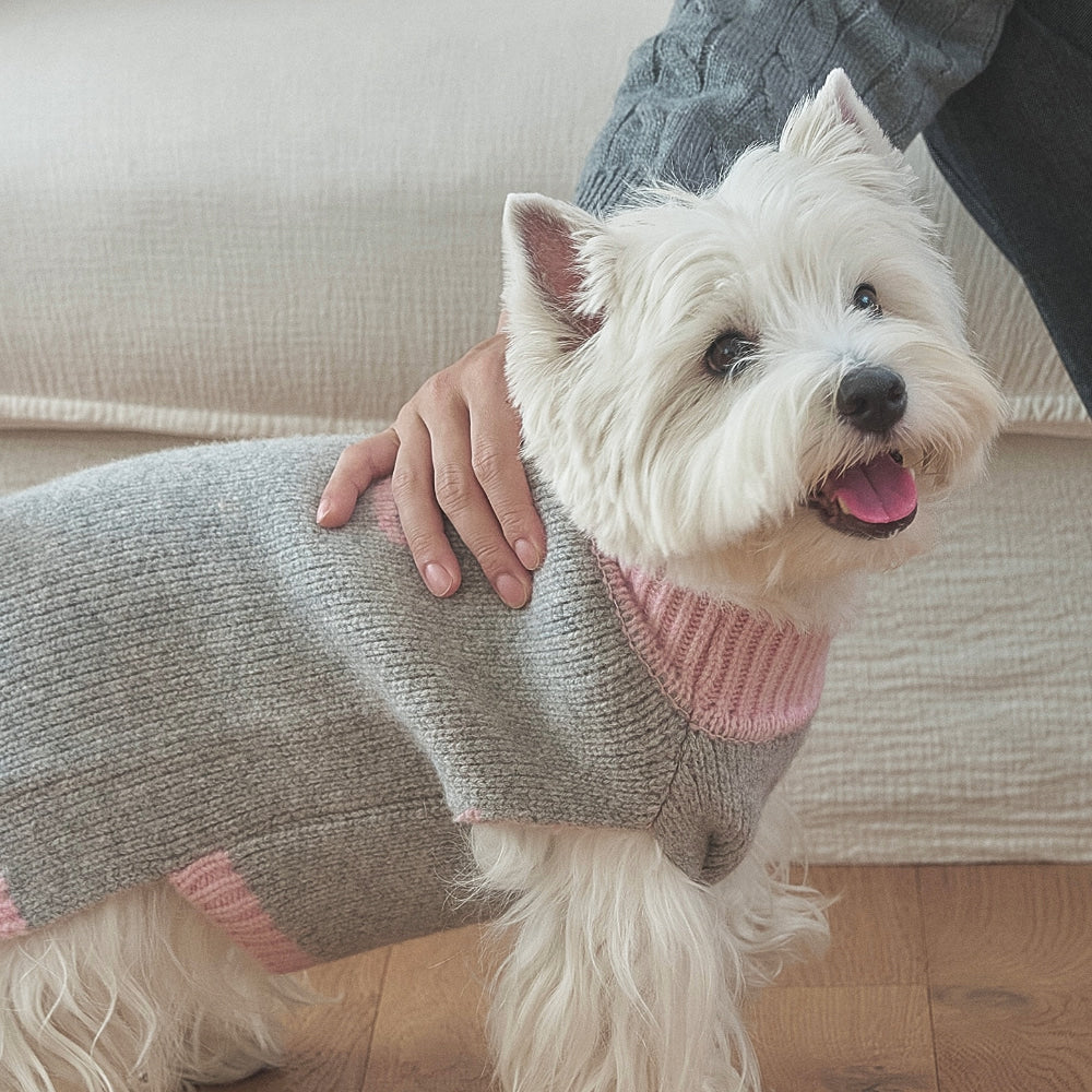 【予約】Merino Wool 100 Comfort Knit (2 color)