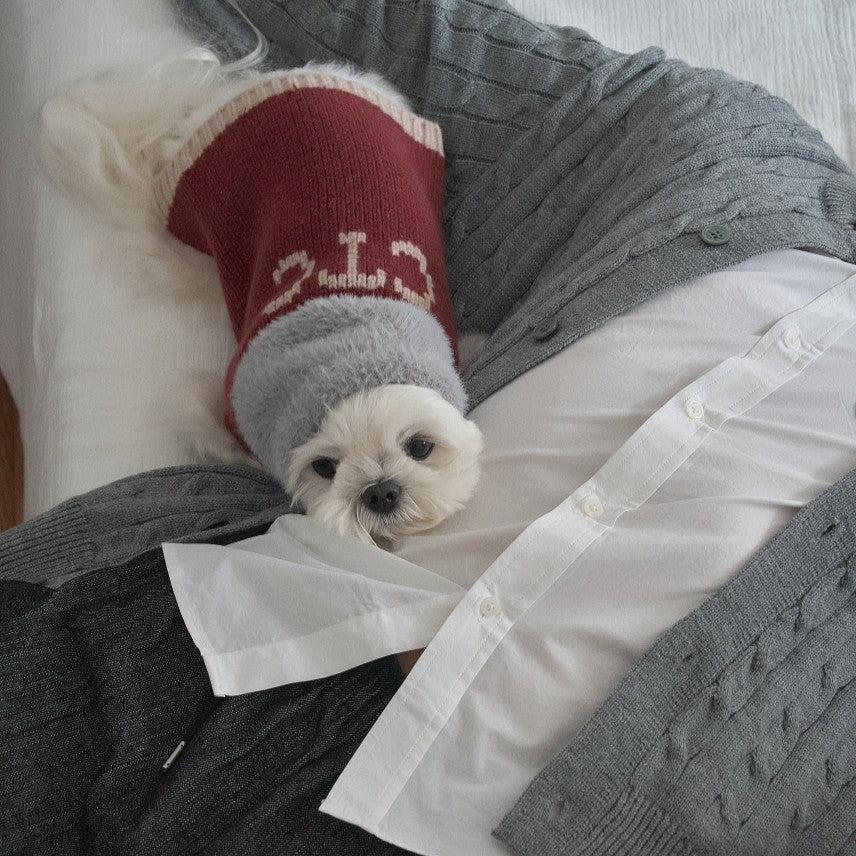 【予約】Merino Wool 100 Comfort Knit (2 color)