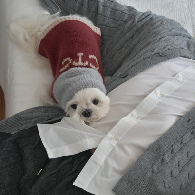 【予約】Merino Wool 100 Comfort Knit (2 color)