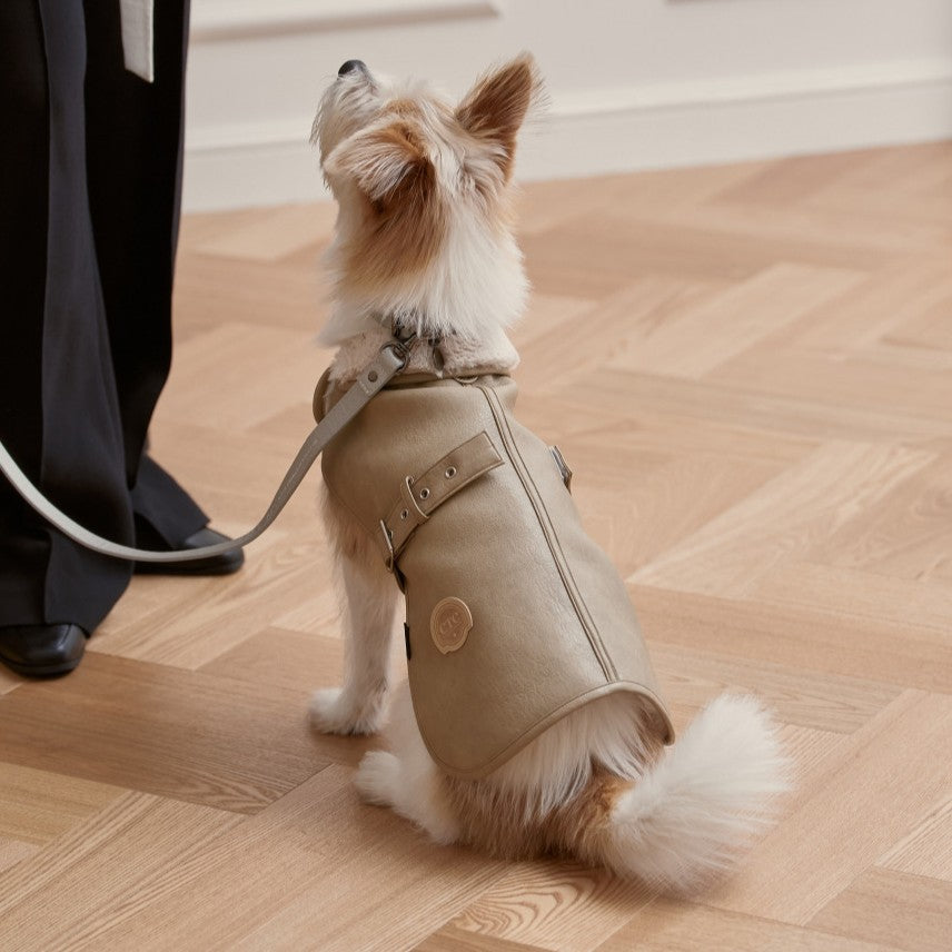 【予約】Noel Belted Mustang