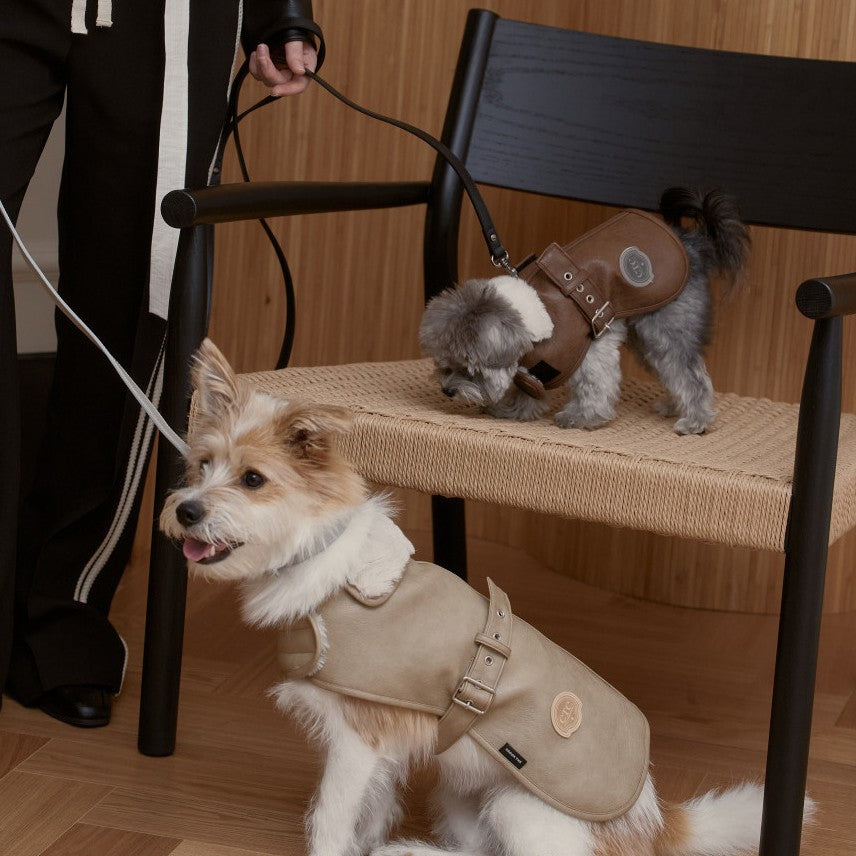 【予約】Noel Belted Mustang