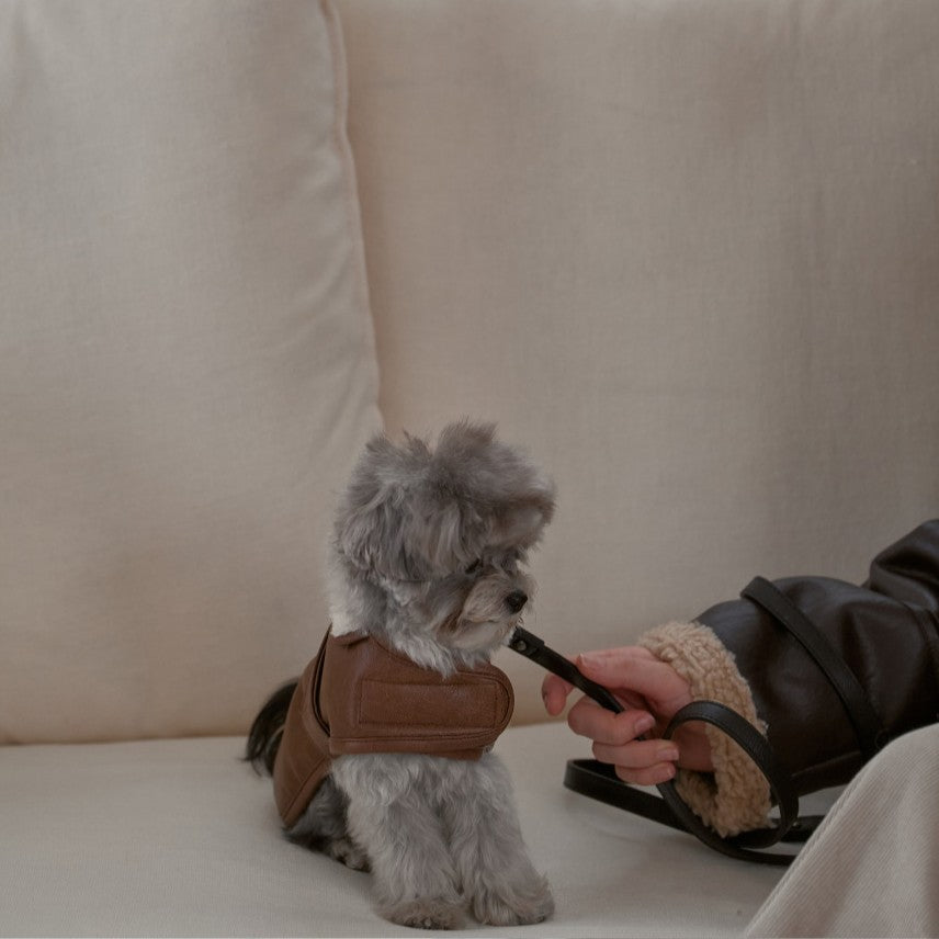 【予約】Noel Belted Mustang