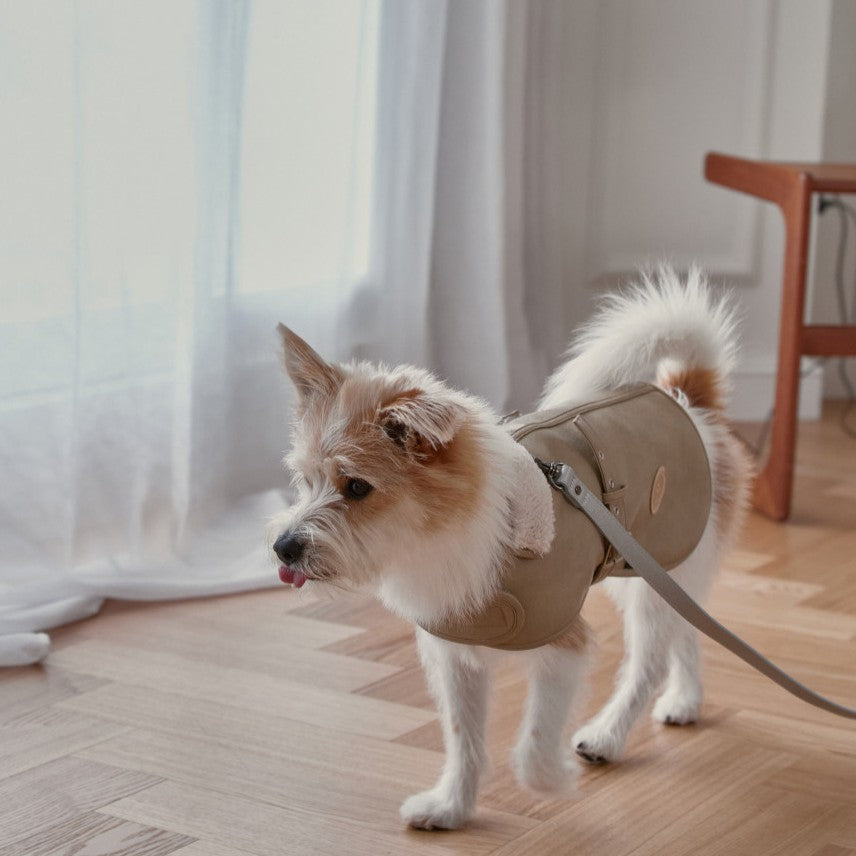 【予約】Noel Belted Mustang