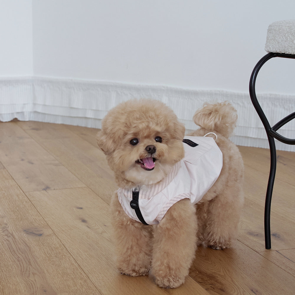 【予約】Striped Hooded Windbreaker (3color)