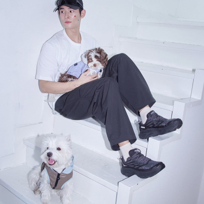 【予約】Striped Hooded Windbreaker (3color)