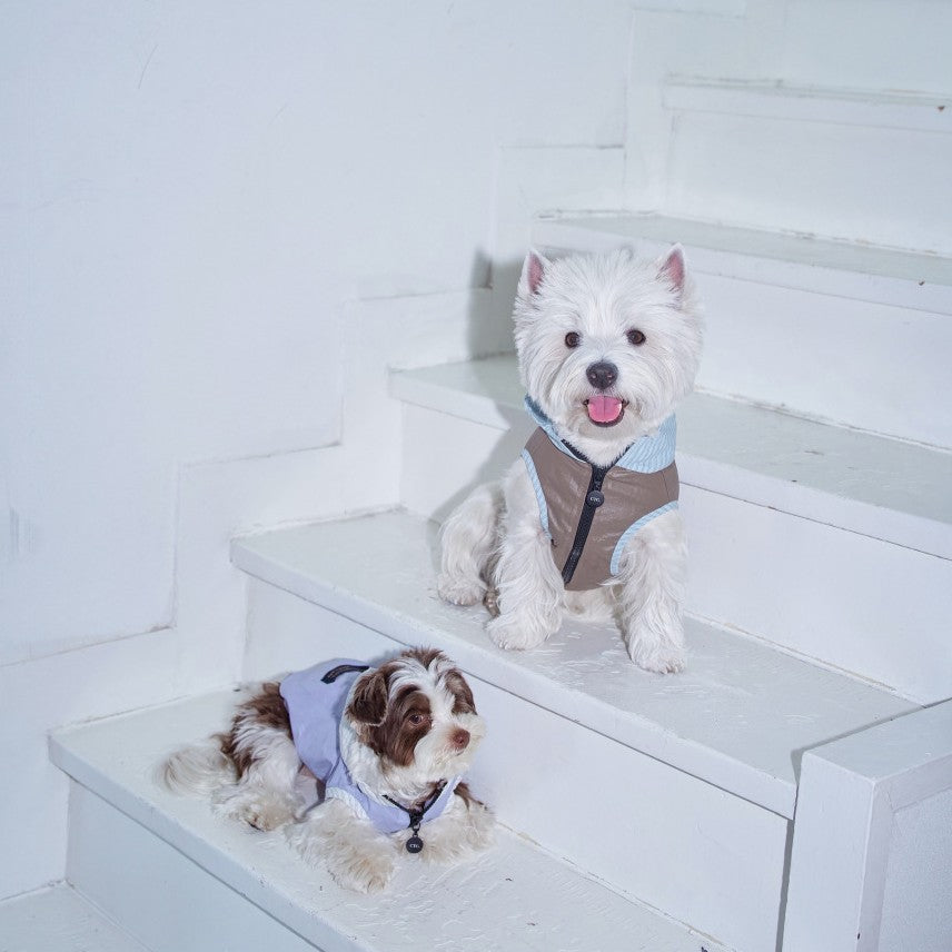 【予約】Striped Hooded Windbreaker (3color)