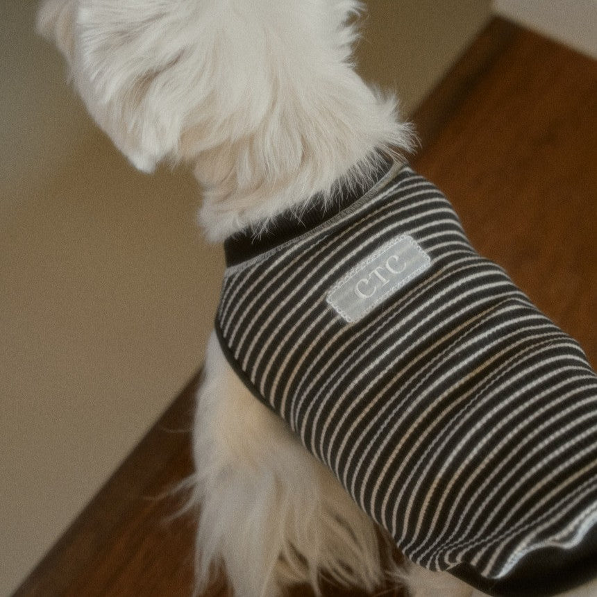 【予約】Union Stripe T-shirt