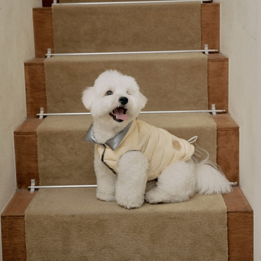 【一部即納】Wellon Glossy Padding (4color)