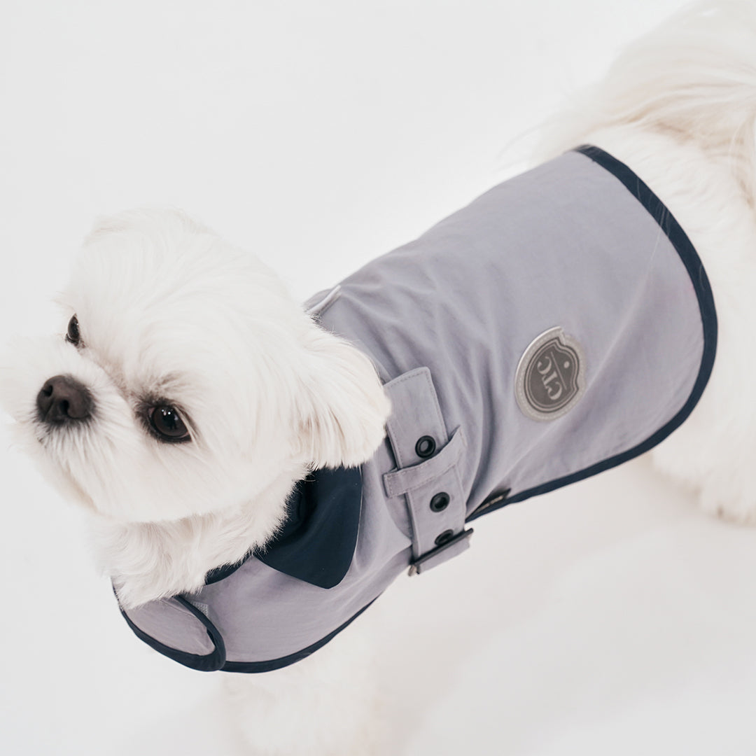 【予約】Tailoring Wind Jacket