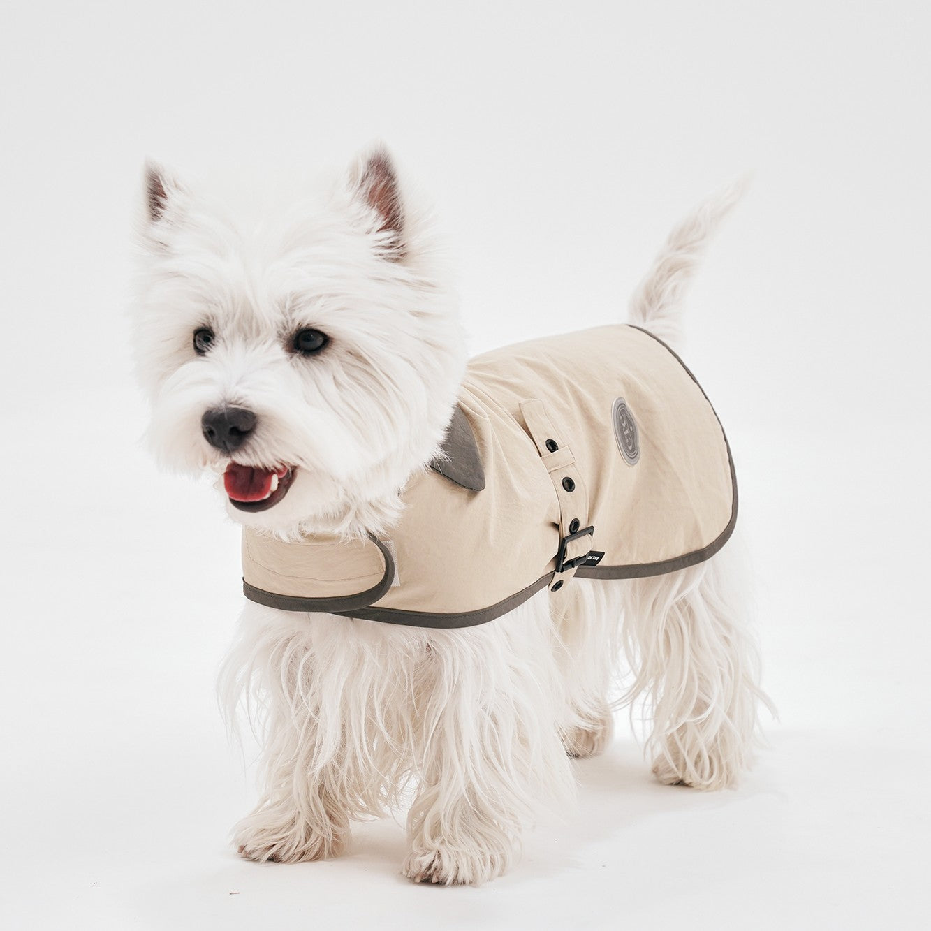 【予約】Tailoring Wind Jacket