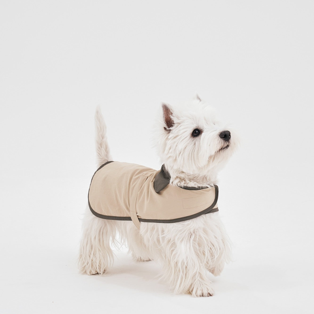 【予約】Tailoring Wind Jacket