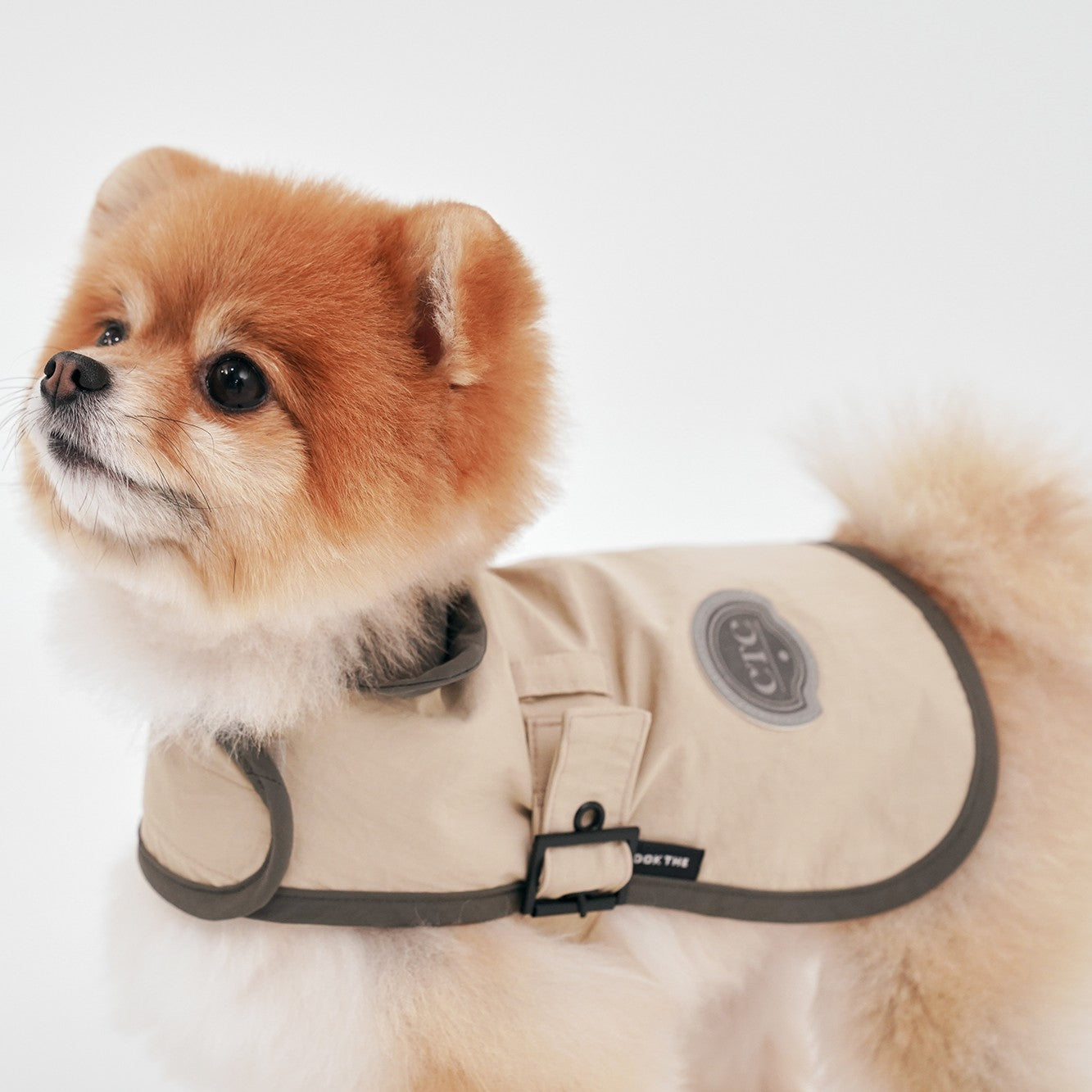 【予約】Tailoring Wind Jacket