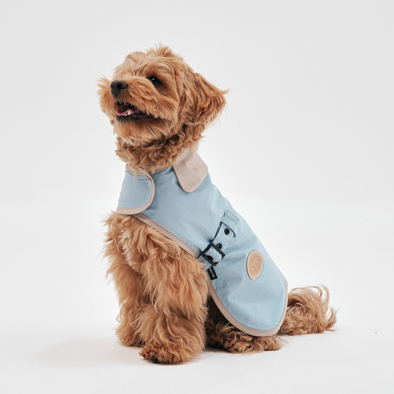 【予約】Tailoring Wind Jacket